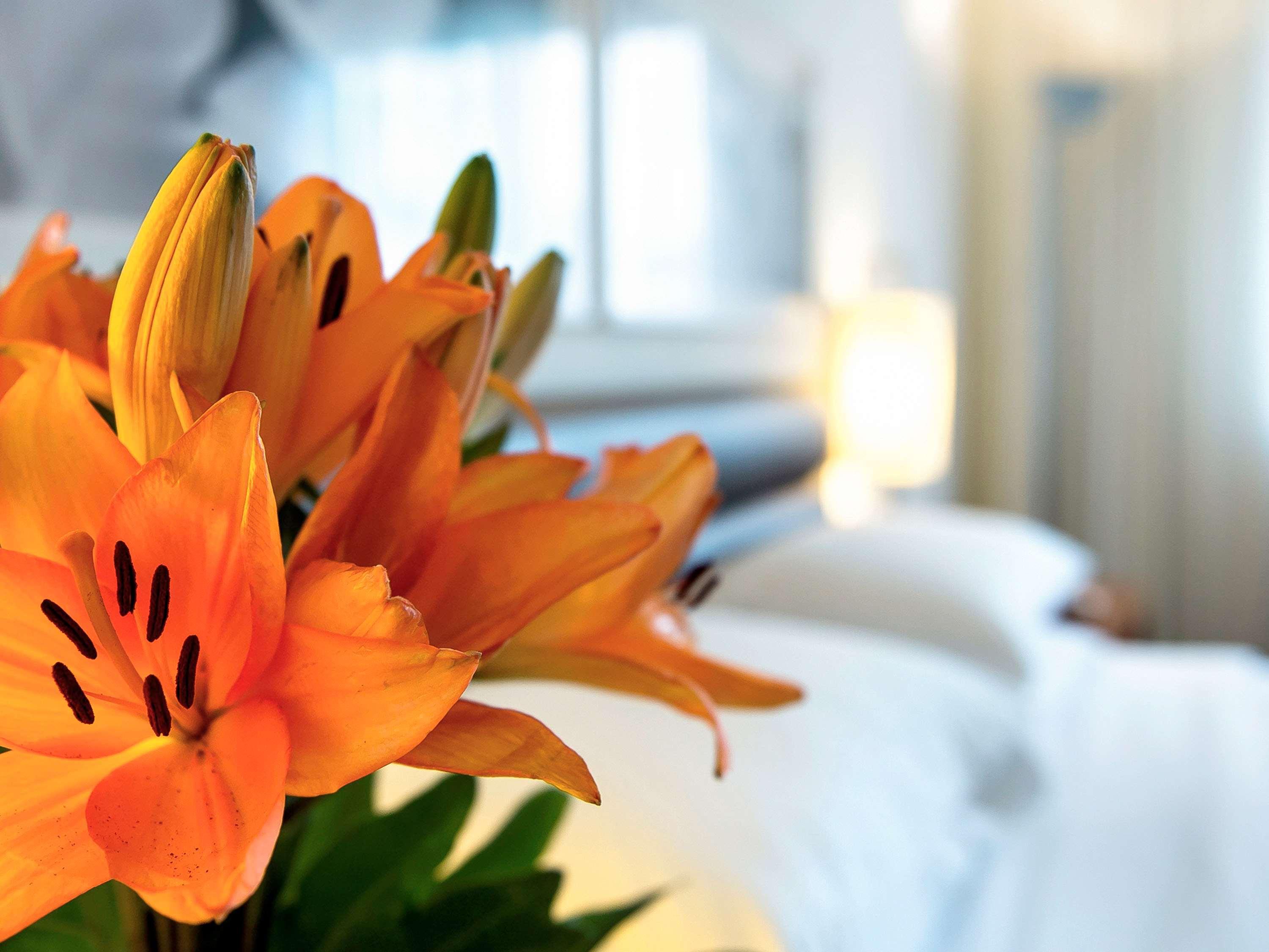 Grand Mercure Olimpia Hotel 5*